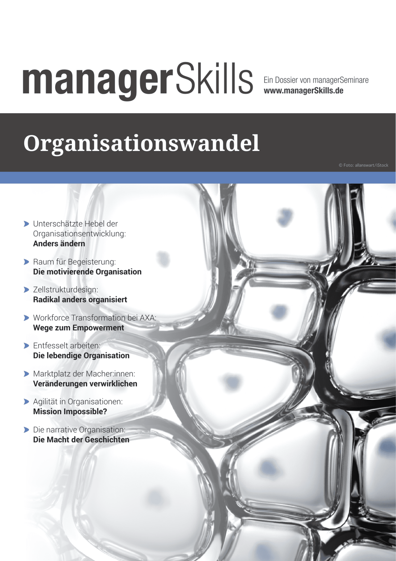 Dossier Organisationswandel #2