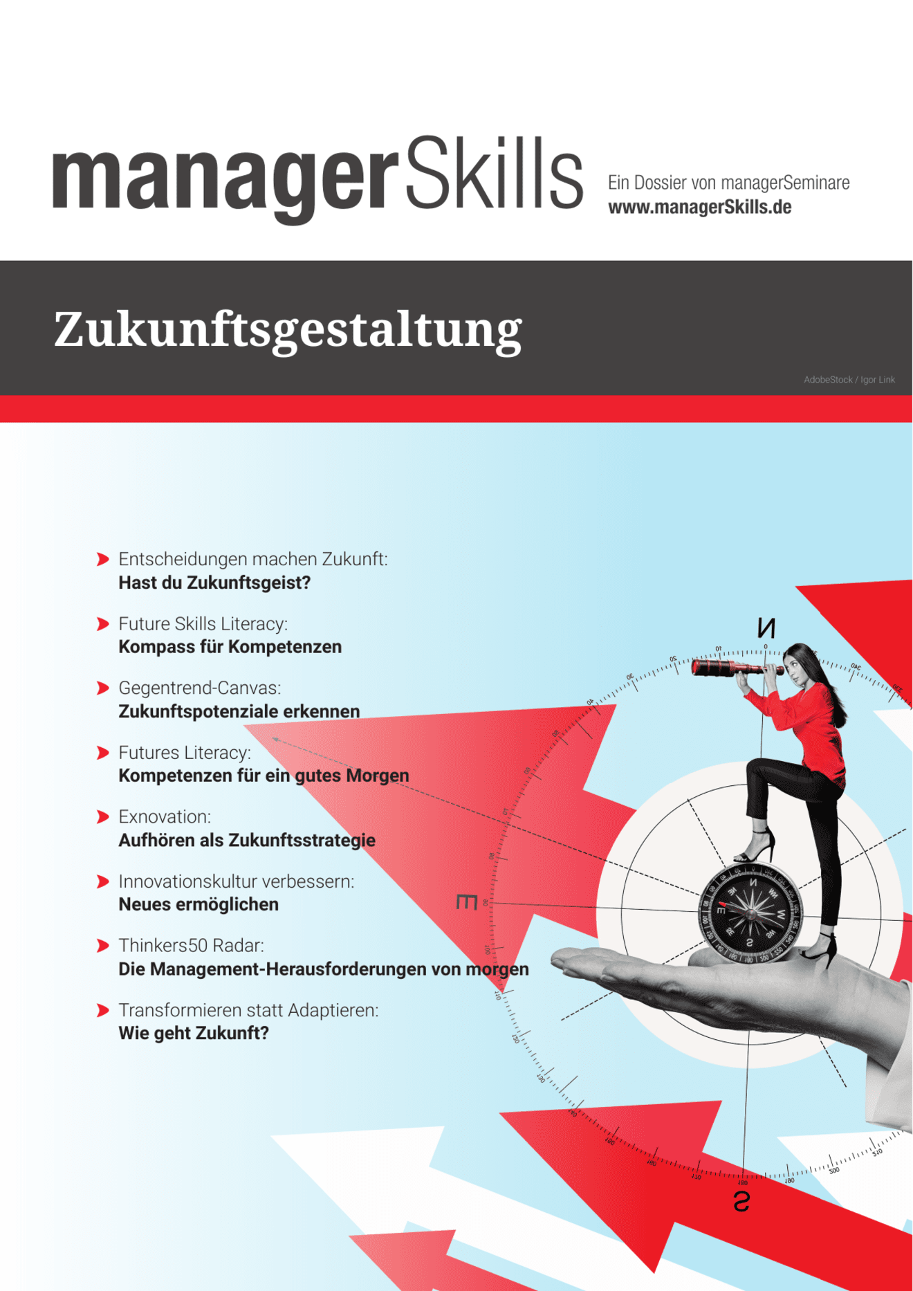 zum Dossier: Zukunftsgestaltung