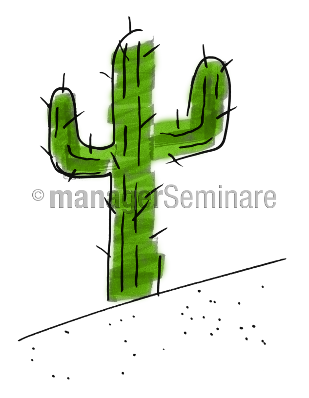 mammillaria evermanniana Shop 'Mammillaria elongata Pink Nymph' Care and Growing Guide Planet Desert main image 1