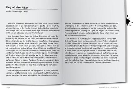 Tool  Geschichte fürs Training: Flug mit dem Adler