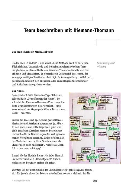 Tool  Team-Workshop: Team beschreiben mit Riemann-Thomann