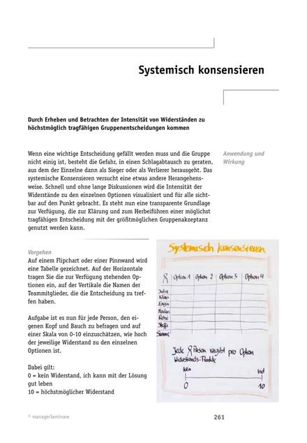 Team-Workshop: Systemisch Konsensieren