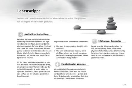 zum Tool: Reflexions-Methode: Lebenswippe