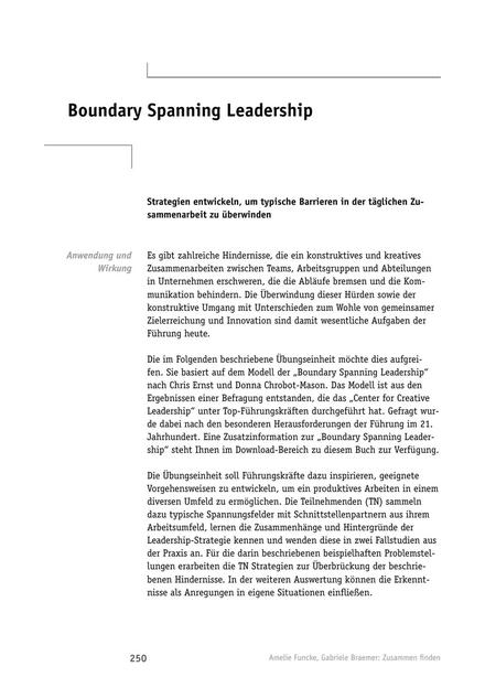 Tool  Team-Führung: Boundary Spanning Leadership