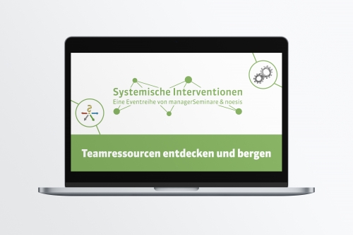 Selbstlernbausteine für Führungskräfte: Systemische Interventionen: Teamressourcen entdecken und bergen