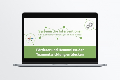 Selbstlernbausteine für Führungskräfte: Systemische Interventionen: Förderer und Hemmnisse der Teamentwicklung entdecken