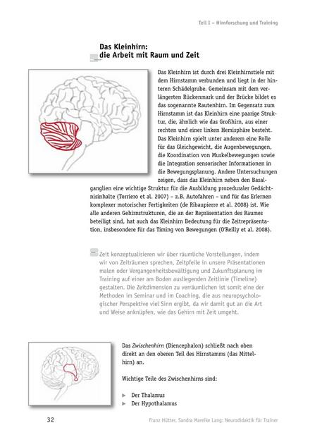 Tool  Neurodidaktik: Die einzelnen Gehirnbereiche und ihre Aufgaben