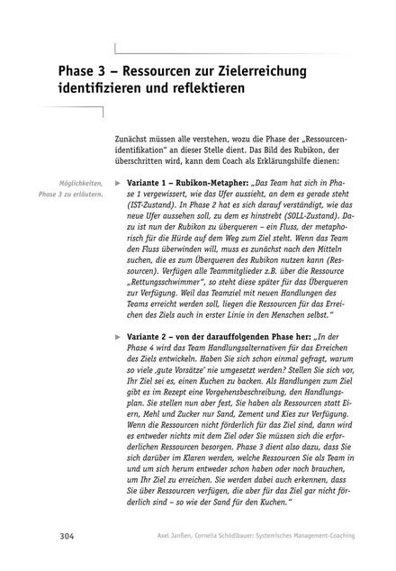 Neue Hamburger Schule: Teamcoaching - Phase 3